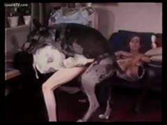 With a dog, two strumpets turned into actual prostitutes.